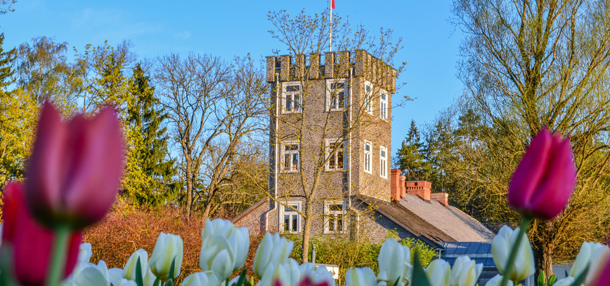 Pavasariniai žiedai ir pramogos Radviliškio krašte: 10 idėjų jūsų išvykai