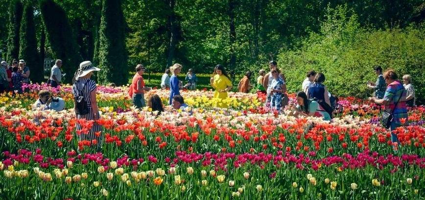 Gegužė pilna renginių kaip gražiausių žiedų: ko tikėtis Radviliškio krašte