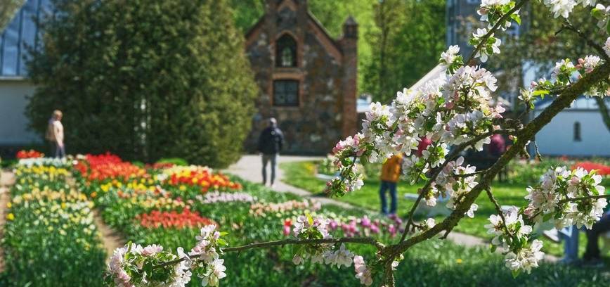 Burbiškio dvare – Vidas Bareikis ir jo muzikinės „Žmogaus orkestro istorijos”