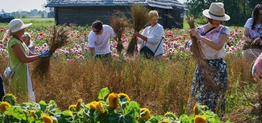 Kleboniškių kaimo buities muziejuje vyks linarovis