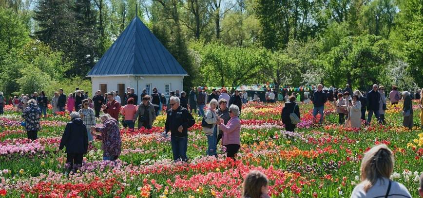 Tradicija tęsiasi – Burbiškio dvaro Tulpių žydėjimo šventė vyks 24-ą kartą
