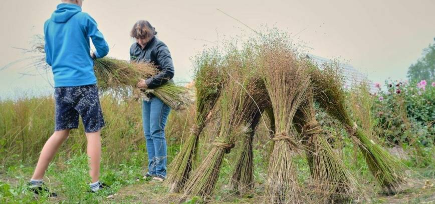 Kleboniškių kaimo buities muziejuje talkininkus suburs linarovis