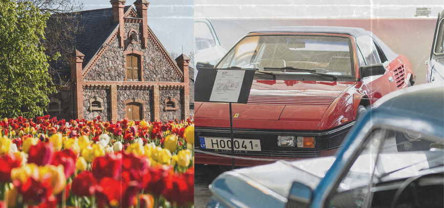 Tulpių žydėjimo šventė Burbiškio dvare jau šį savaitgalį: ką dar pamatyti Radviliškio krašte?