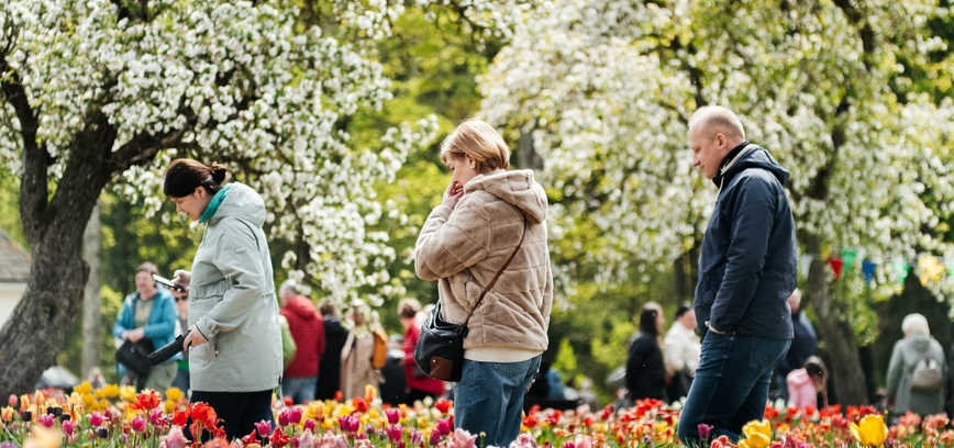 Artėja ypatingas festivalis: Burbiškio dvaro Tulpių žydėjimo šventė vyks 25-ą kartą