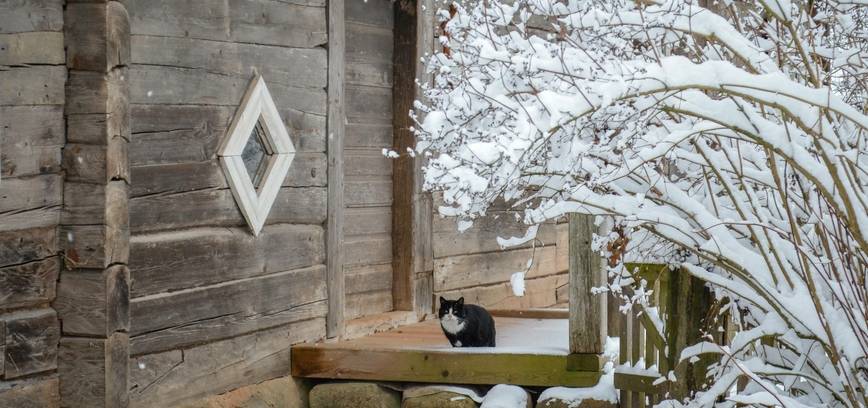 Žiemos linksmybės ir atradimai Radviliškio krašte: nesnauskite, juk žiema ne amžina