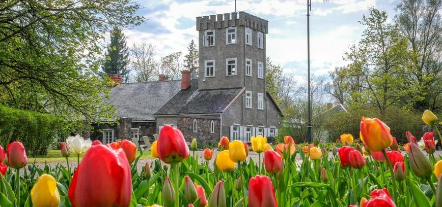 Burbiškio dvaro Tulpių žydėjimo šventėje – nuo Barboros Radvilaitės iki „The Roop“