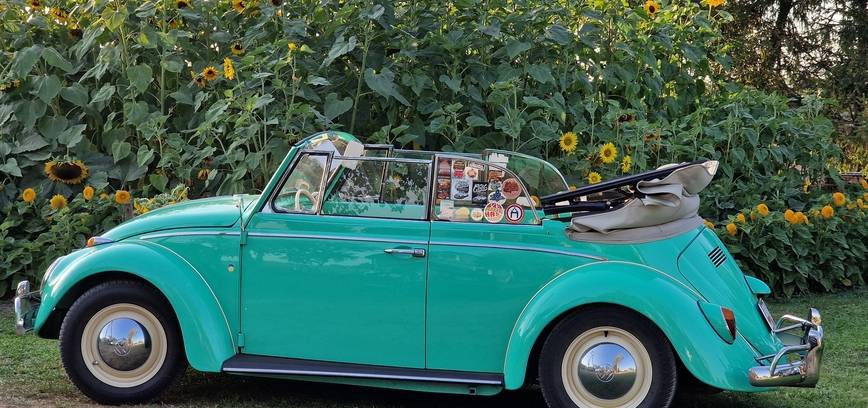 Draugių išvyka į Radviliškio kraštą: ką pamatyti, paragauti ir patirti