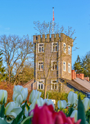 Pavasariniai žiedai ir pramogos Radviliškio krašte: 10 idėjų jūsų išvykai