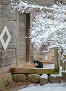 Žiemos linksmybės ir atradimai Radviliškio krašte: nesnauskite, juk žiema ne amžina