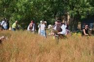 Augustes_Labenskytes_nuotr_(2)_029.jpg