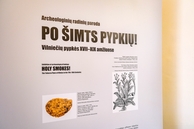 Lauros_Prasceviciutes_nuotr_(2)_(6).JPG