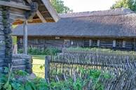 Lauros_Prasceviciutes_nuotr_(2)_007.jpg
