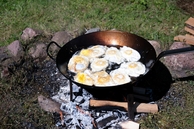 Lauros_Prasceviciutes_nuotr_(5)_036.jpg