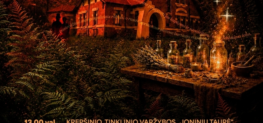 Joninių šventė „Vasarvidžio naktis“