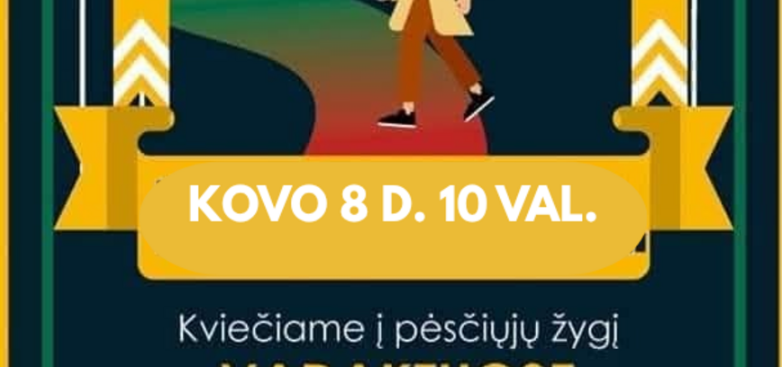 PĖSČIŲJŲ ŽYGIS VADAKTUOSE