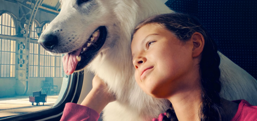 „ŠUO, KURIS KELIAVO TRAUKINIU“