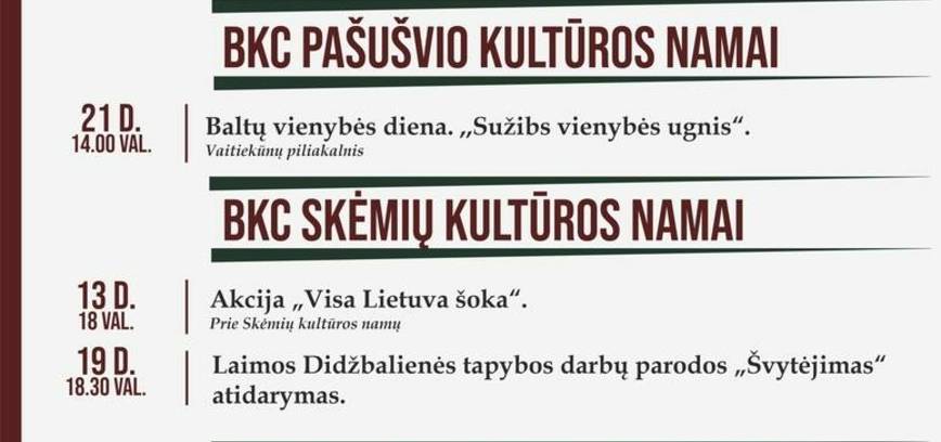 RENGINIŲ PLANAS BAISOGALOJE