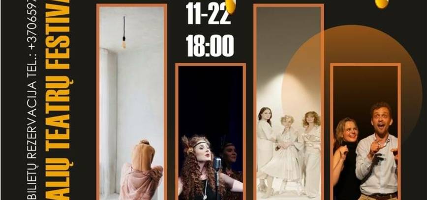 PROFESIONALIŲ TEATRŲ FESTIVALIS „MEDUNEŠIS“
