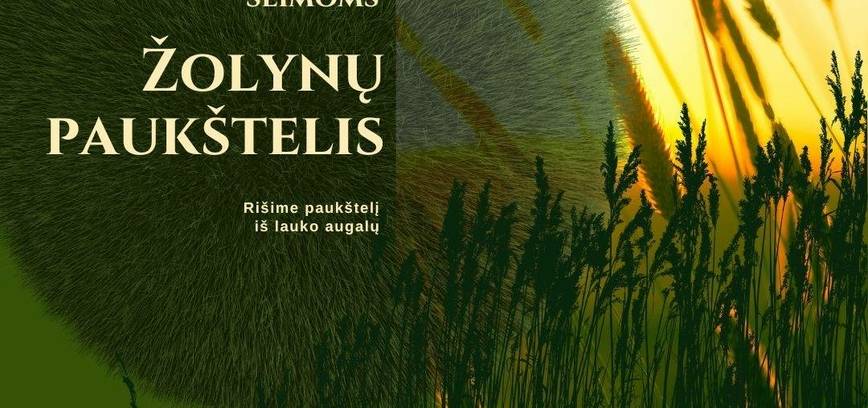 EDUKACIJA ŠEIMOMS „ŽOLYNŲ PAUKŠTELIS“