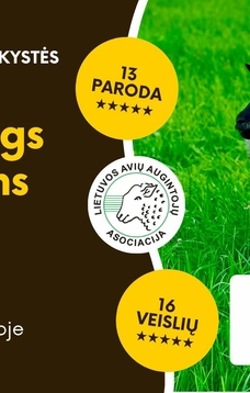„AVIS APRENGS IR PAMAITINS 2026“