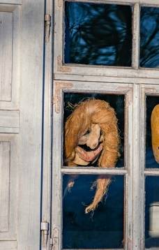 UŽGAVĖNIŲ KAUKIŲ PARODA