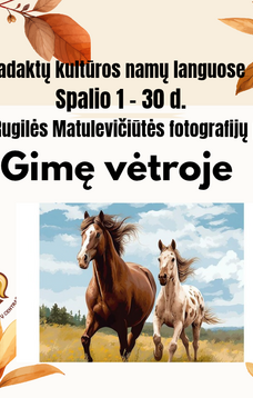 RUGILĖS MATULEVIČIŪTĖS FOTOGRAFIJŲ PARODA „GIMĘ VĖTROJE“