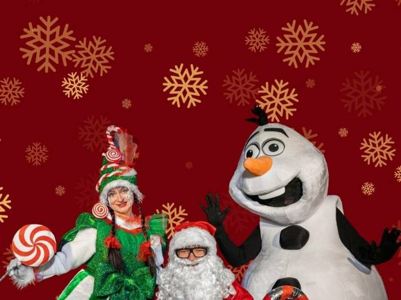 EGLĖS ĮŽIEBIMO ŠVENTĖ RAUDONDVARYJE