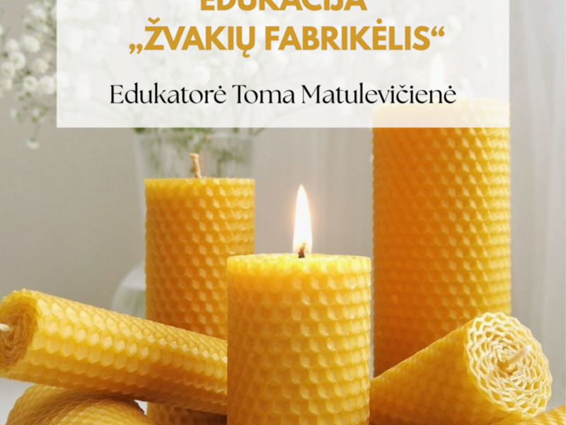 EDUKACIJA „ŽVAKIŲ FABRIKĖLIS“