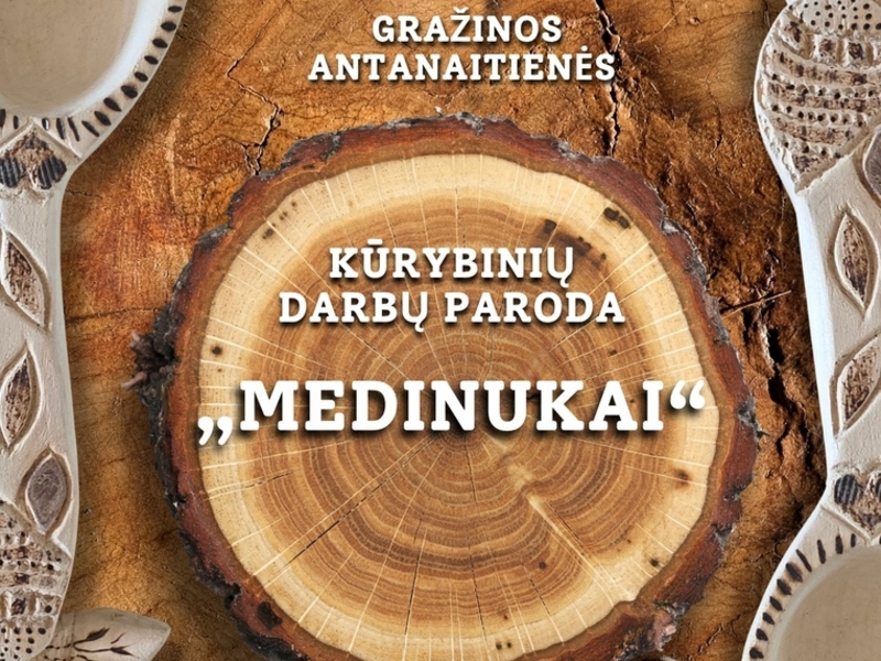 KŪRYBINIŲ DARBŲ PARODA „MEDINUKAI“