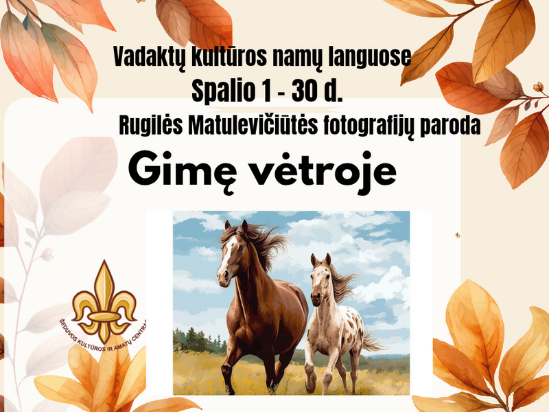 RUGILĖS MATULEVIČIŪTĖS FOTOGRAFIJŲ PARODA „GIMĘ VĖTROJE“