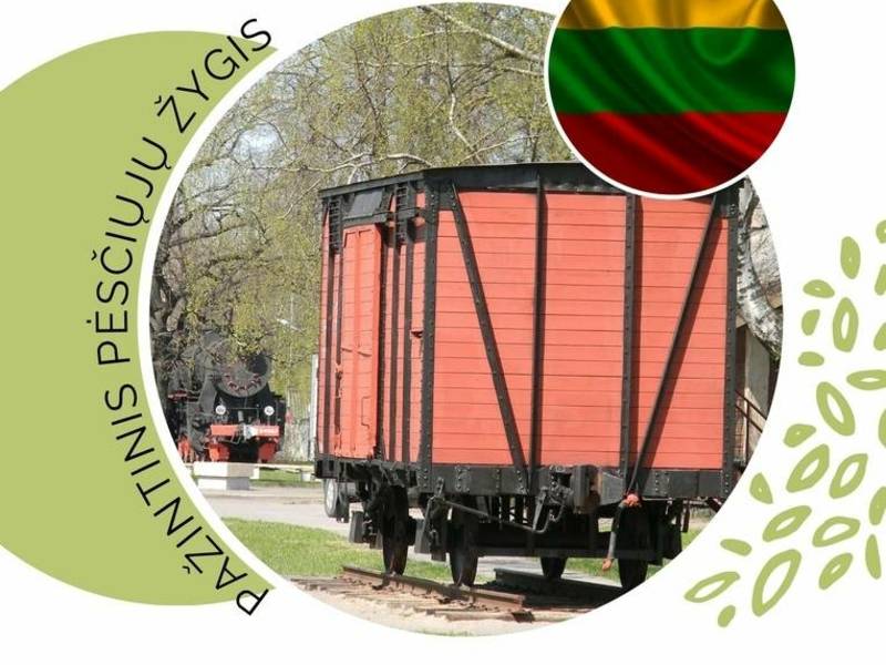 PAŽINTINIS PĖSČIŲJŲ ŽYGIS „LAIKO RATU“, SKIRTAS GEDULO IR VILTIES DIENAI