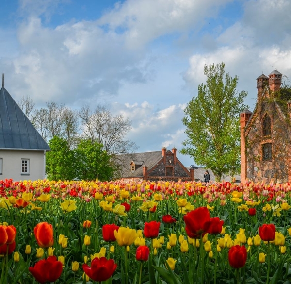 Pavasaris Radviliškio krašte: 10 idėjų išvykai 